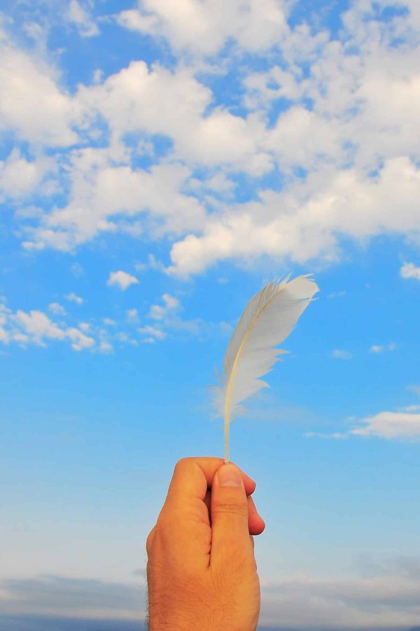 Que signifie quand on trouve une plume au sol ?