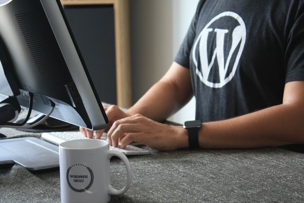 Les secrets de WordPress: créer facilement des sites web, des blogs et des boutiques en ligne
