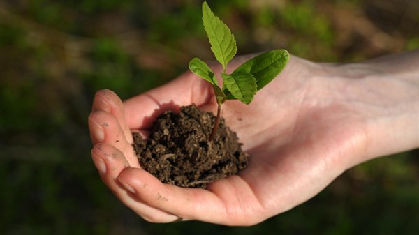 Déchets et énergies renouvelables : une solution d'avenir pour notre planète