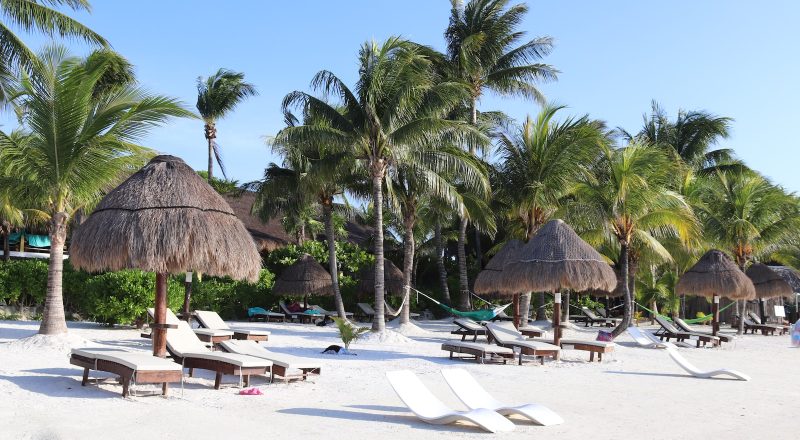 brown nipa hut on white sand beach during daytime